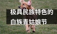 白族传统文化极具特色的青姑娘节庆典活动