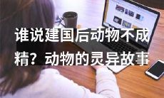 建国后动物竟成精！探索神秘灵异事件的动物故事