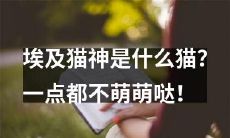 了解埃及文明中的神话传说:揭秘埃及猫神及其神秘面纱!