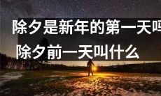 新年的第一天是除夕吗？除夕前一天常被称为‘除夕夜’，但确切名称是‘小年’