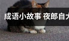 夜郎自大成语的来源及相关故事：骄傲自满的夜郎人及其不可忽视的历史教训