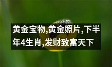 下半年四生肖，发财致富天下：挖掘黄金宝物，留存黄金照片，助您实现财富梦想！