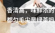 都匀毛尖，一种香气清高、味道浓鲜的绿茶，你知道吗？