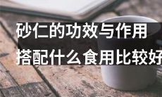 什么是砂仁，它究竟能给身体带来怎样的功效和作用？此外，对于砂仁，我们应该如何正确搭配食用，以最大化其营养价值和保障健康呢？