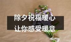 在这个除夕，送上暖心祝福，让你感受到温暖的力量和心灵的抚慰
