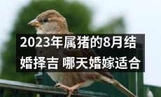 建议2023年属猪的新人在8月选择合宜的日子举行婚礼：哪些日期最适合猪年8月结婚？