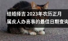 2023年农历正月属虎人结婚择吉日期查询：寻找办喜事的最佳时机