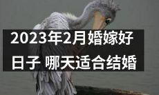 寻找适合婚礼的好日子:2023年2月有哪些幸运结婚日?