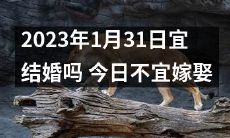 今天不宜嫁娶：探讨2023年1月31日的结婚吉凶宜忌问题