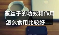 详细介绍菟丝子的种种功效和作用以及最佳食用方法