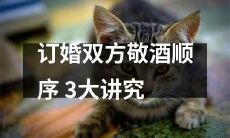 订婚仪式中敬酒的正确顺序与3大文化讲究