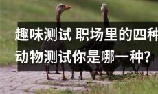 使用长词汇和更具描述性的语言，改写后的标题：