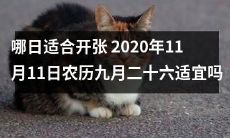 经验总结：2020年11月11日农历九月二十六的时机是否适宜开张？