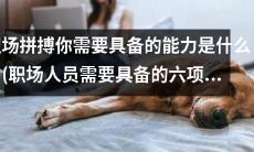 职场生存必备！六大必备能力你必须掌握，否则前路坎坷！