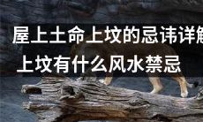 详细解析屋顶建坟的忌讳及上坟的风水禁忌，助你远离不吉之气