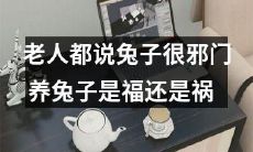 听取老人传说，境遇兔子：是种福是种祸？