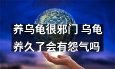 寿动物？养乌龟也需谨慎，否则乌龟会积攒怨气？