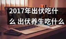 2017年出伏期间，为了养生健康，应当采用哪些食物来促进身体健康呢？