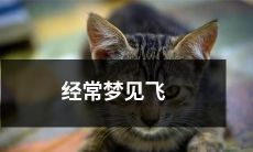 跃翱天际的梦境:探究梦境中飞行的象征意义和潜在影响!