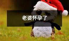 我的伴侣已怀孕：关于我们将要面对和准备的一切事宜的详细介绍