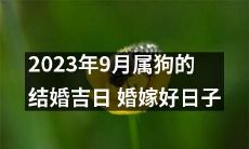 2023年9月属狗人的结婚黄道吉日推荐，适宜举办喜庆婚礼的八字好日子