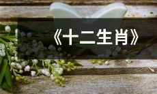 十二生肖:神秘动物象征与中国文化传统中的象征意义解析