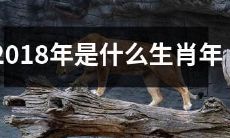 根据中国传统生肖，2018年属于哪个动物年，即哪种生肖在2018年会主宰世界的运势？