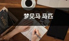 梦见一场神奇的马匹冒险：追逐，探索和与华丽马群共舞的梦境世界