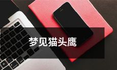 在睡梦中不期而遇的神秘生物:自己亲身体验梦见猫头鹰的感受和惊艳!