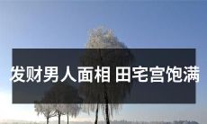 详解面相上的发财男人之田宅宫饱满特征