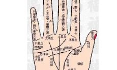 通过手相探究断手纹对人命运的影响以及如何应对处理这种情况