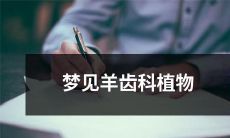 在梦中遇见了美丽的羊齿科植物,让你惊叹不已的梦境体验!