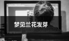 梦见兰花苗在土里萌发出嫩绿丝丝的幼芽，或者说梦到兰花幼芽的发芽过程，令人激动不已！