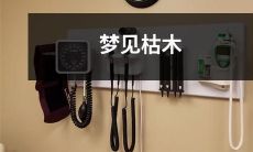 在荒芜荒野中孤独生长的梦见枯木，寓意深刻而富有哲理的灵魂探索与自我启示！