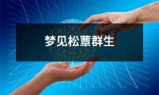 我在夜晚的梦中,目睹了数不尽的松蕈从地面涌出,繁茂而生机勃勃的景象