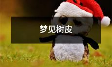 如梦如幻的体验：睡梦中的景象漫游，发现神秘梦景中的树皮奇观！