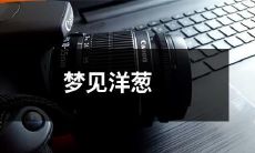 在梦中见到了一颗巨大的洋葱,它的形态和颜色如何,代表着什么意义?