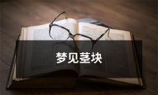 梦见一个茎块的意义与解析：探究植物的生命力及其对梦境启示的影响