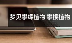 梦见自己身处攀缘植物丛林中，眼前簇拥着绝美的攀援植物，仿佛置身于睿智自然的大观园之中