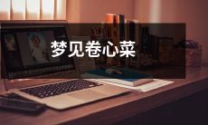 做成口感绝妙的香气扑鼻的美食，惊喜于梦中浮现的卷心菜美景