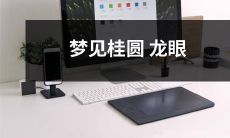 的象征意义:解读梦中桂圆龙眼的隐喻和心灵启示