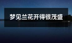 做梦时眼前盛开的兰花,花朵茂盛而绚烂瑰丽的惊人场景