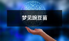 在梦中看到豌豆苗，预示着你的生活将迎来新的生长与繁荣！