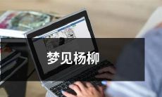 在轻轻摇曳的杨柳下醉梦：我在梦中邂逅了诗意满溢的自然风景