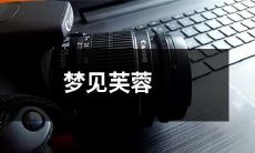 湖畔开放的芙蓉花，苍鹰翱翔的梦：一个关于自然美景与惊奇幻境的梦见芙蓉的故事