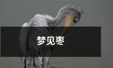 树下红熟枣子垂满枝头，人梦中观枣实密布，匪似俗世浮华，恍若真实天堂之境——畅想属灵梦境中的枣树奇幻之旅