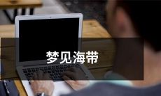 在梦中见到了一片波涛汹涌的海洋，海水中漂浮着许多蔚蓝色海带的神奇经历