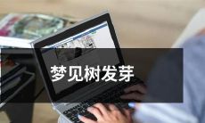 做梦梦见自己眼前的树木开出新芽,给你一种崭新希望和生机的感觉