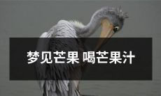 做梦中的情景:我梦见自己喝着口感丰富、饱满甘甜的芒果汁,感受到清新的果香,仿佛能够感受到芒果在口腔中融化的感觉