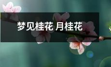 在月光下盛开：一场桂花梦中桂花缤纷的奇幻之旅